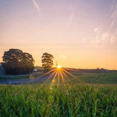 jonny-gios-dF88VCKfVCo-unsplash